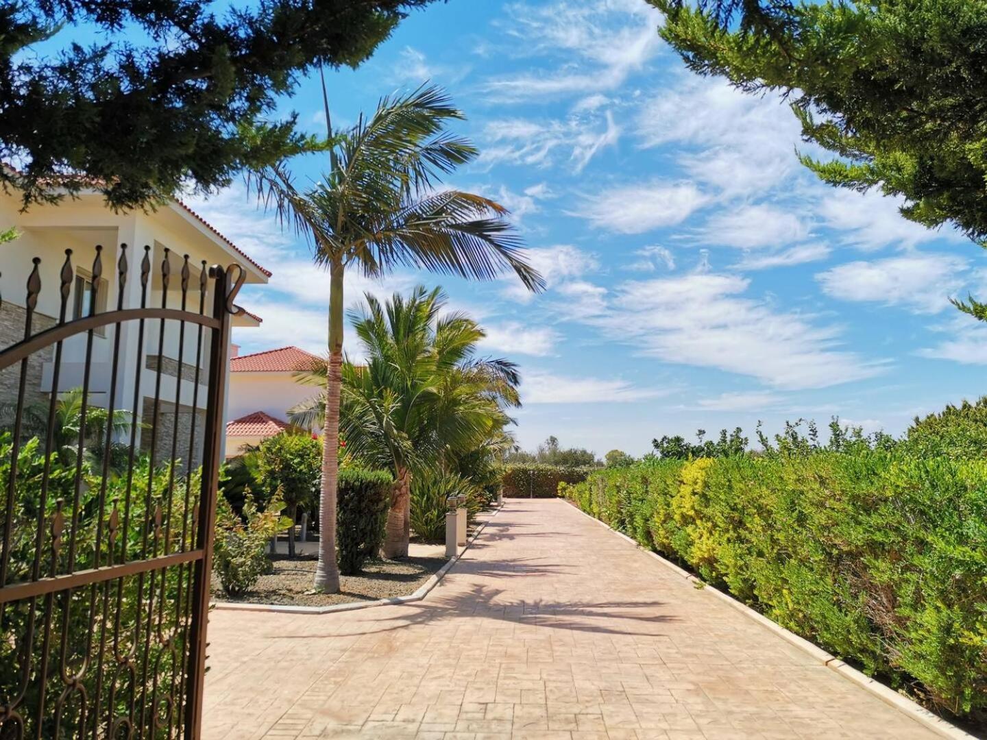 Orchard Blossom Private Villa With Pool Phrenaros Exterior foto