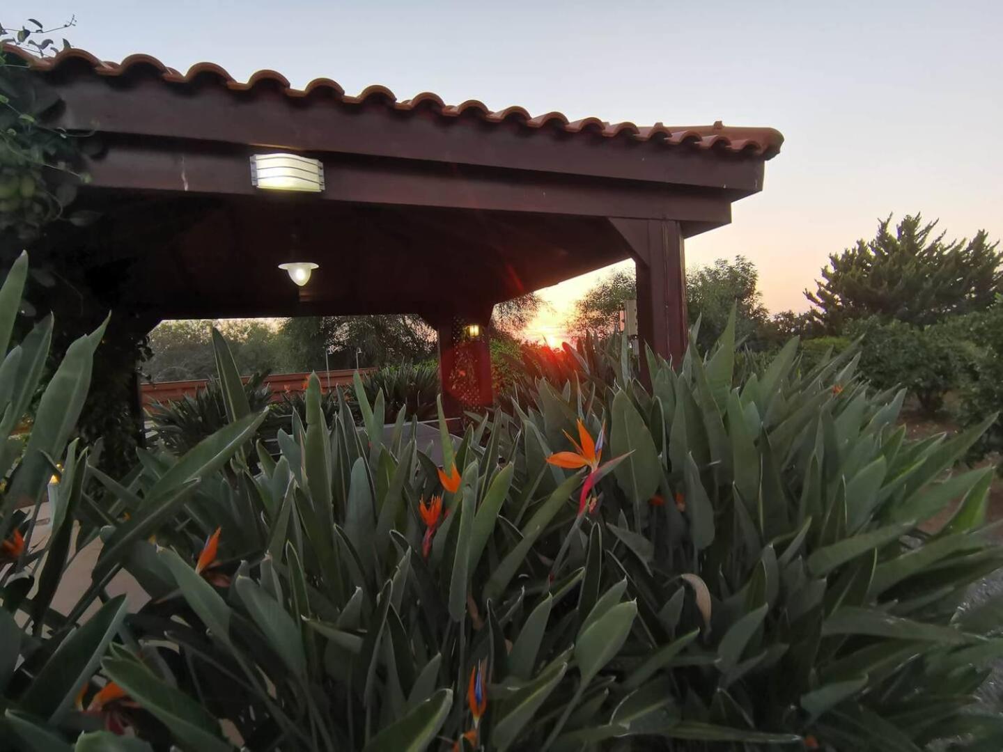 Orchard Blossom Private Villa With Pool Phrenaros Exterior foto