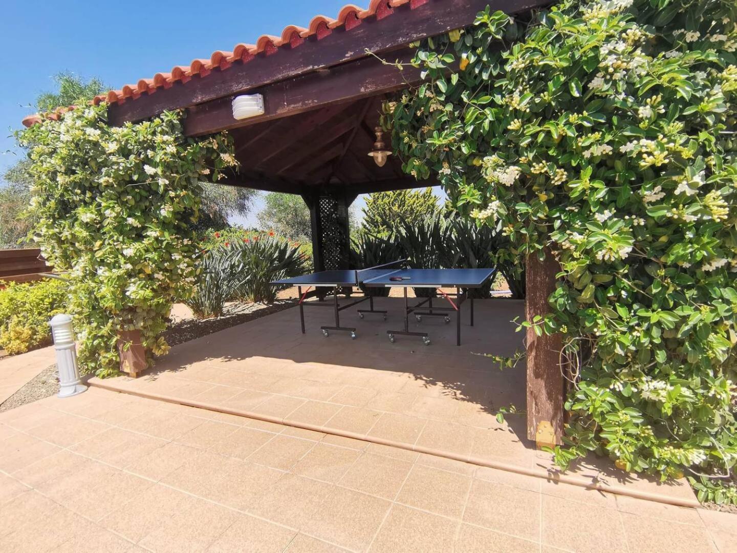Orchard Blossom Private Villa With Pool Phrenaros Exterior foto