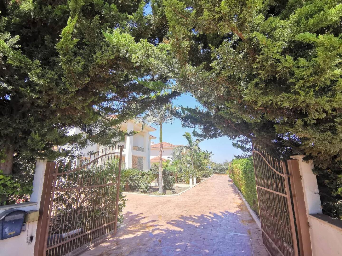 Orchard Blossom Private Villa With Pool Phrenaros Exterior foto